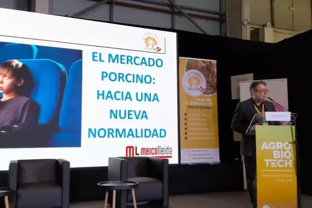 El preu mitjà del porcí enguany serà d’1,61 euros el quilo, amb una caiguda del 6,4%