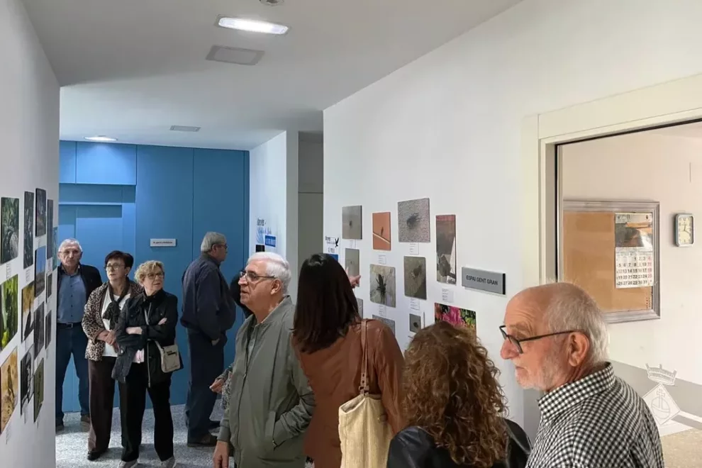 Els ‘altres veïns’ de Montoliu de Lleida