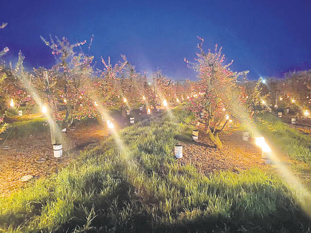 Els pagesos del Segrià, en alerta màxima pel risc de gelades