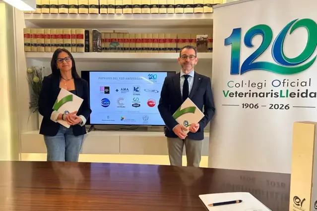 Els veterinaris de Lleida insten al buidatge de senglars i granges de la zona de pesta porcina