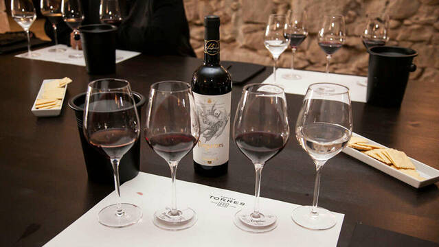 Els vins de Costers del Segre triomfen als premis Decanter amb 15 medalles