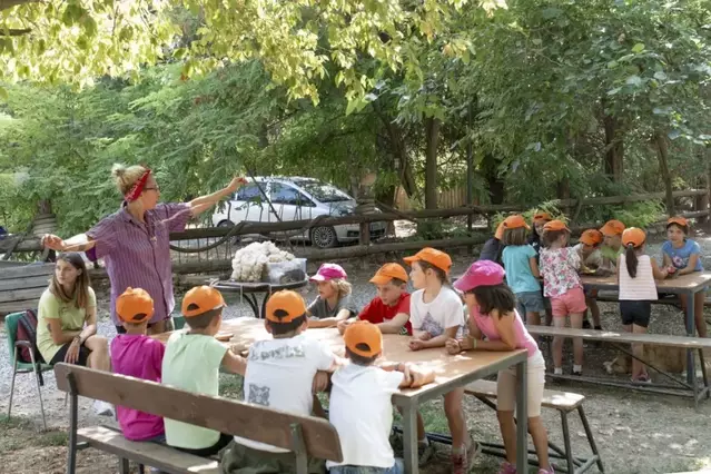 Escolars aprenen com s’esquilen ovelles a la Saira