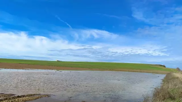 Estudi per a la conservació de la llacuna de la Unilla