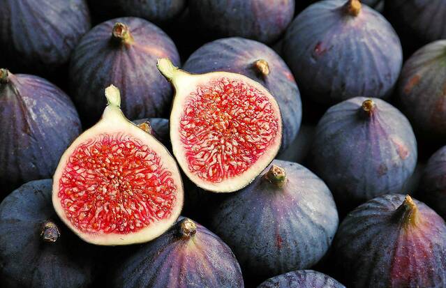 Figs Fruits demana llicència per envasar figues