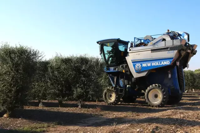 Gaudea incrementa la producció