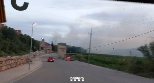 Incendi de canyes i borrissol de pollancre a Massalcoreig