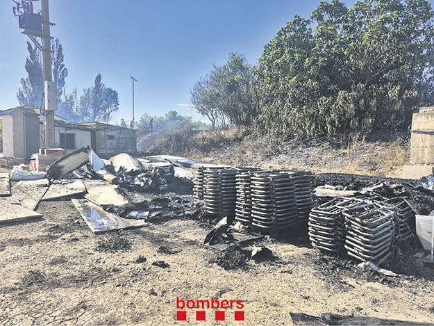 Incendi en una granja d’Alcarràs