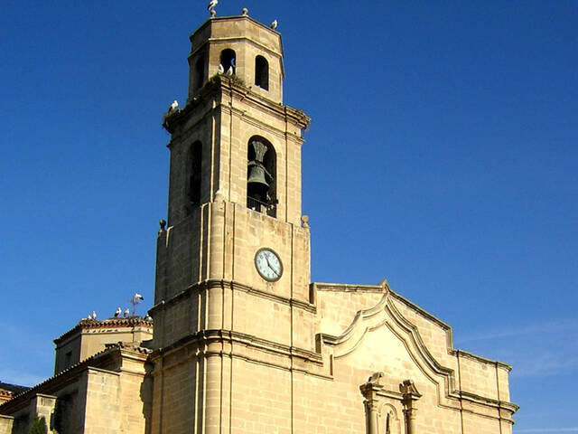 Incendi en una xemeneia a Torres de Segre