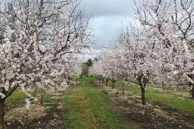 La compravenda de finques rústiques es dispara més d’un 25% a Lleida