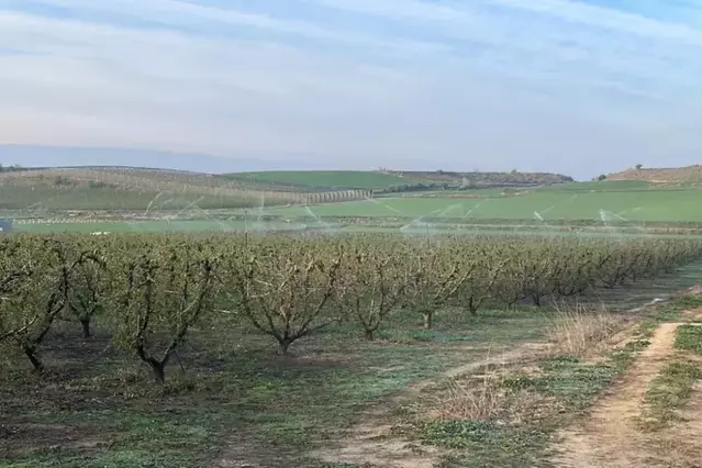 La compravenda de finques rústiques repunta a Lleida un 21,2% el 2025