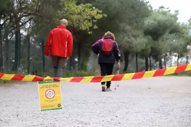 La Generalitat sol·licita el desplegament de l’UME per controlar el brot de pesta porcina