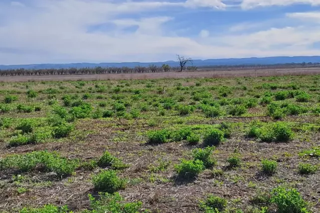 La Unió Europea admet que les zepes del secà de Lleida puguin posar-se en regadiu