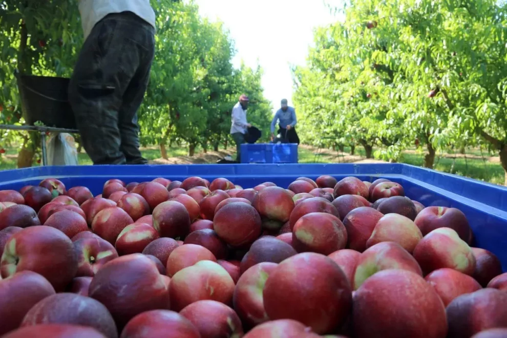 L’alimentació arrossega a Lleida les exportacions a la baixa un 5%