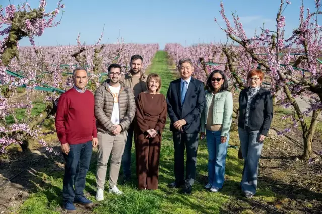 L’ambaixador de Corea i la cònsol del Japó, entre camps en flor d'Aitona