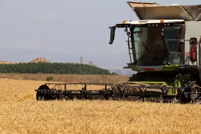 Les cooperatives de treball lideren el creixement d’ocupació a Lleida
