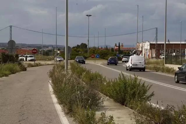 Les males herbes prenen les voreres de Gualda i la partida Boixadors