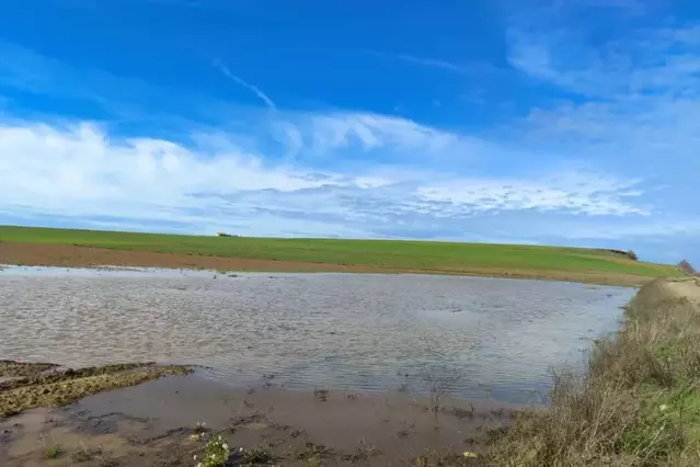 Les últimes pluges fan emergir de nou la llacuna natural del Clot de la Unilla