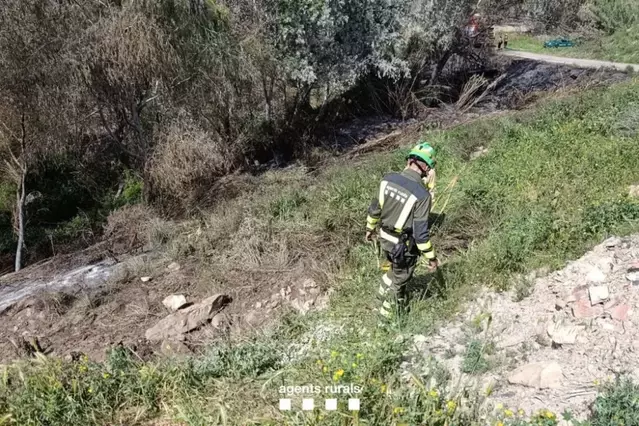 L’incendi de Massalcoreig ha calcinat 3,3 hectàrees