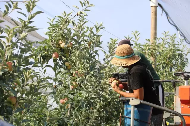 Lleida gairebé ha duplicat l’afiliació de treballadors estrangers en una dècada