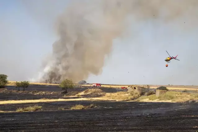 Lleida ha registrat 725 incendis aquest any, un 27% més que en tot el 2025