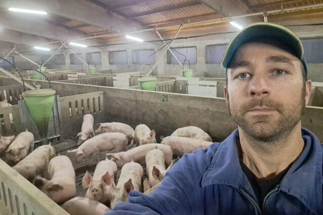 Lleida ja ha perdut 48 milions per la pesta i pot arribar a 370 aquest any