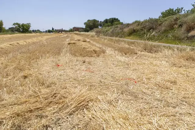 Llibertat vigilada i teràpia per al menor per l’atropellament mortal