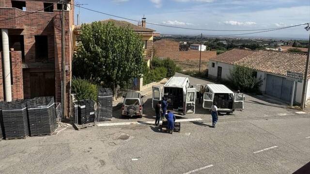 Malestar de veïns d’Alguaire per la brossa que genera una firma fruitera