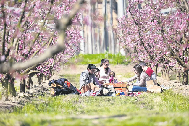 Més de 7.000 participants en les activitats de Fruiturisme a Aitona