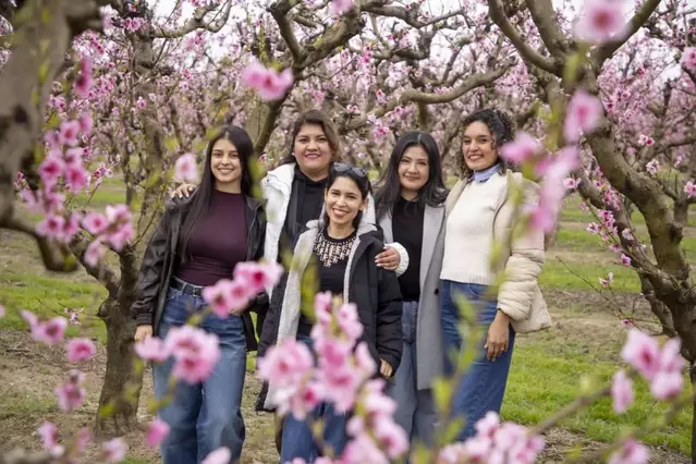 Més pobles s’afegeixen a l’espectacle de la floració