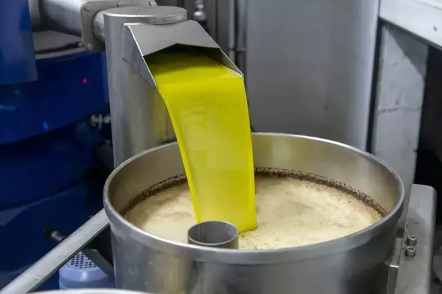 Molins de Lleida produeixen més d’11.850 tones d’oli