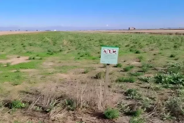 Pagesos i Agricultura atansen postures per desbloquejar els set milions de les zepes