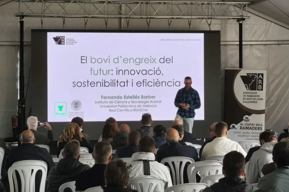 Pèrdues de fins a 200 euros per cada vedell que va a l’escorxador