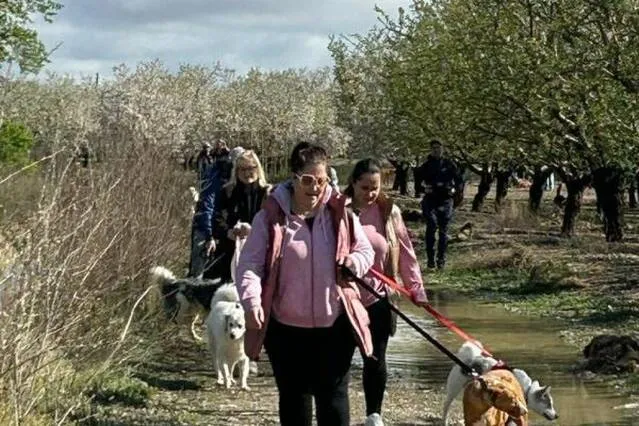 Ple total a la Caminada Canina de Seròs