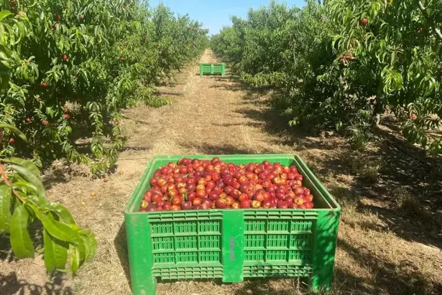 Preacord per actualitzar el conveni del camp