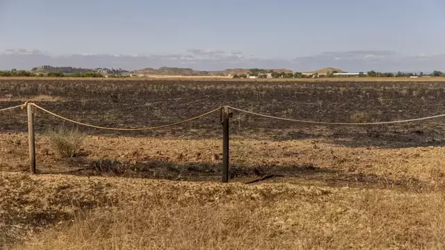 Preocupació ecologista pel foc a Alfés