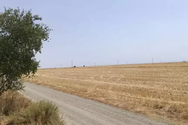 Primera planta de biogàs a Alfarràs