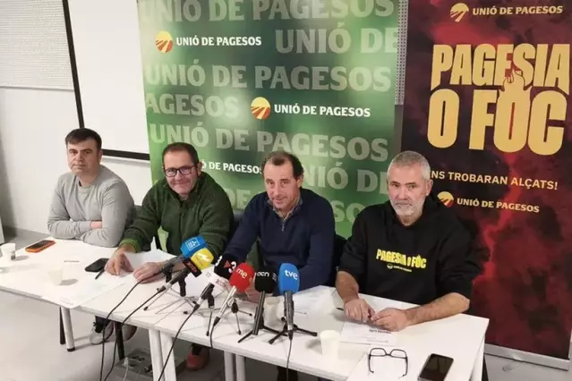 Puja el preu del pollastre tot i els casos de grip aviària