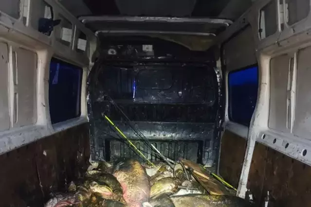 Quatre imputats per pescar 25 silurs a Alcarràs