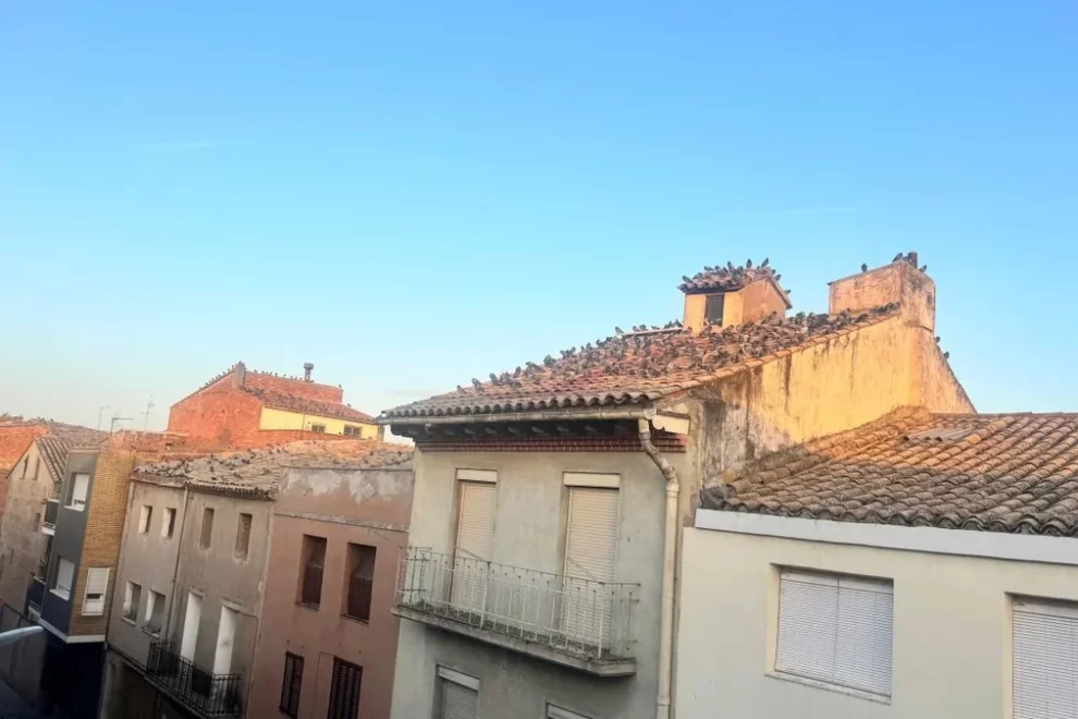 Queixes a Torres de Segre per la proliferació de coloms