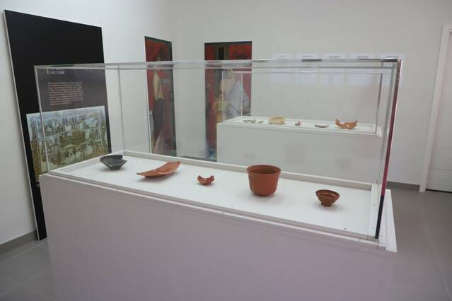 Raimat descobreix els seus orígens romans amb exposició arqueològica