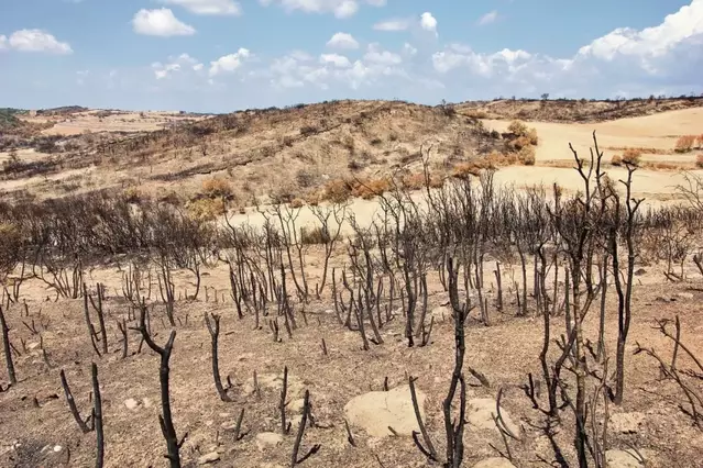Territori dona 1,4 milions a ecologistes i pobles per adquirir i conservar finques
