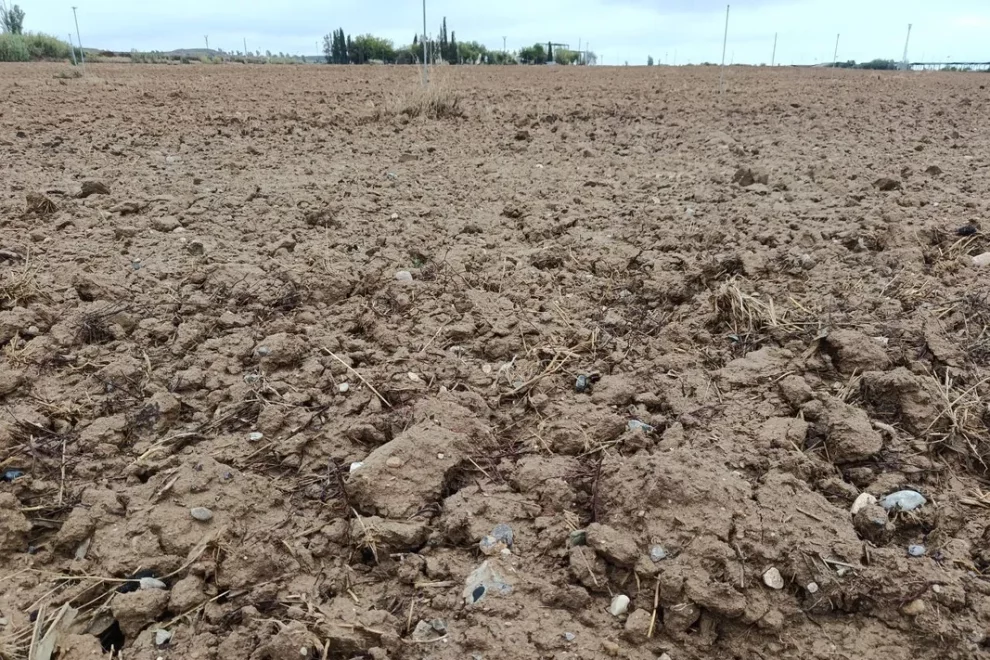 Tractorada dels pagesos de les zepes si el Govern no activa els ajuts en 20 dies