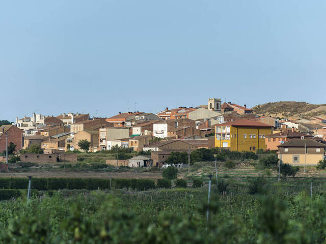 Tradició i música prenen els carrers d’Alcoletge