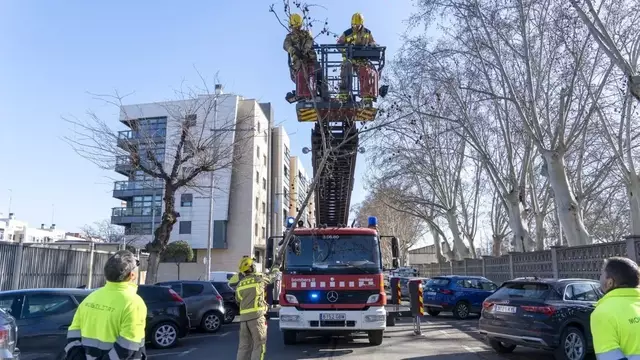 Un altre temporal de vent causa nous desperfectes a Ponent