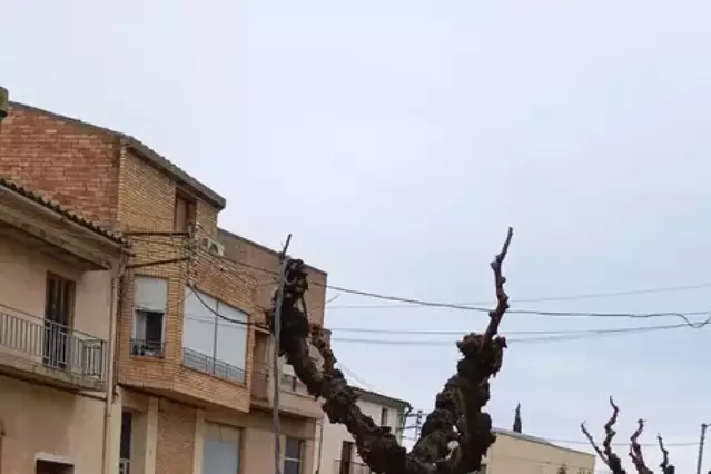 Un cable caigut bloqueja parcialment una entrada a Alfés