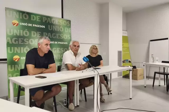UP alerta d’una campanya de fruita minvada per la calor i els costos