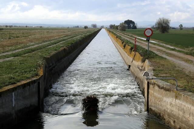 UP denuncia falta de transparència en la votació de l’Urgell a Artesa de Lleida