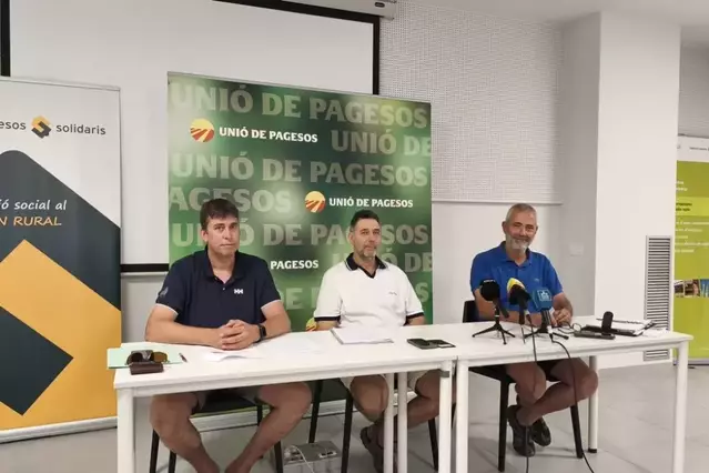 UP xifra en 64 milions a Lleida les pèrdues del porcí fins al juny
