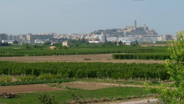 Veïns denuncien que no funcionen cinc càmeres de l’Horta