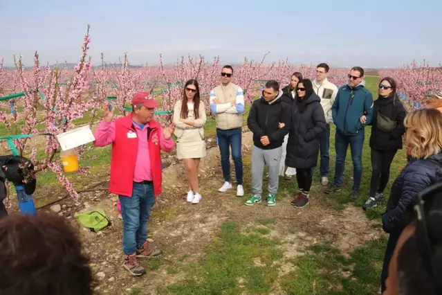 Visitants a Aitona i Maials ja gaudeixen dels camps en flor